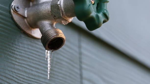 Best Septic Systems  in Rpinteria, CA